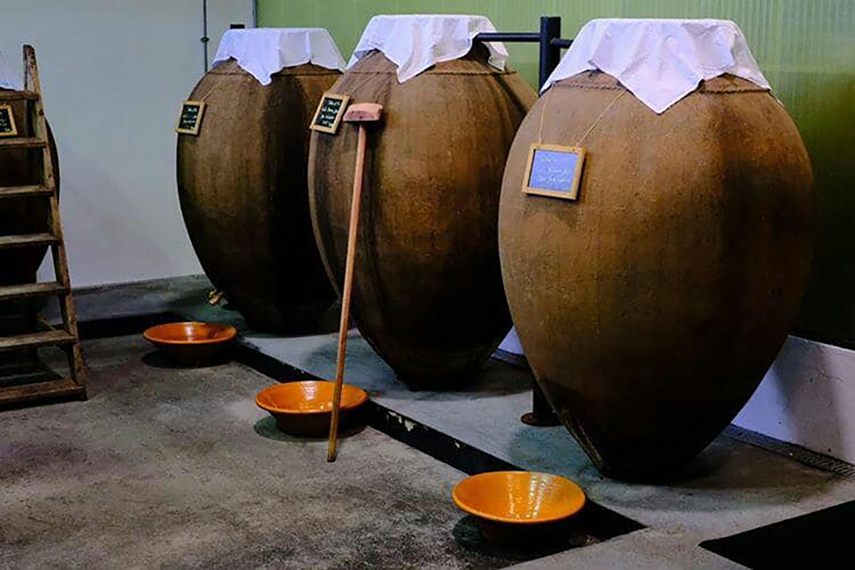 ROCIM PREPARA AMPHORA WINE DAY 2019