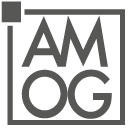 logo amog